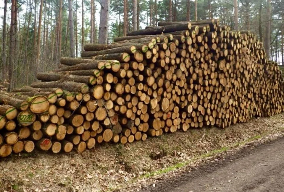 Grumes-de-chene-de-haute-qualite-PEFC-par-1-camion-–-60M3 Hochwertige PEFC-zertifizierte Eichenstämme pro LKW-Ladung – 60 m³ – Bild 1