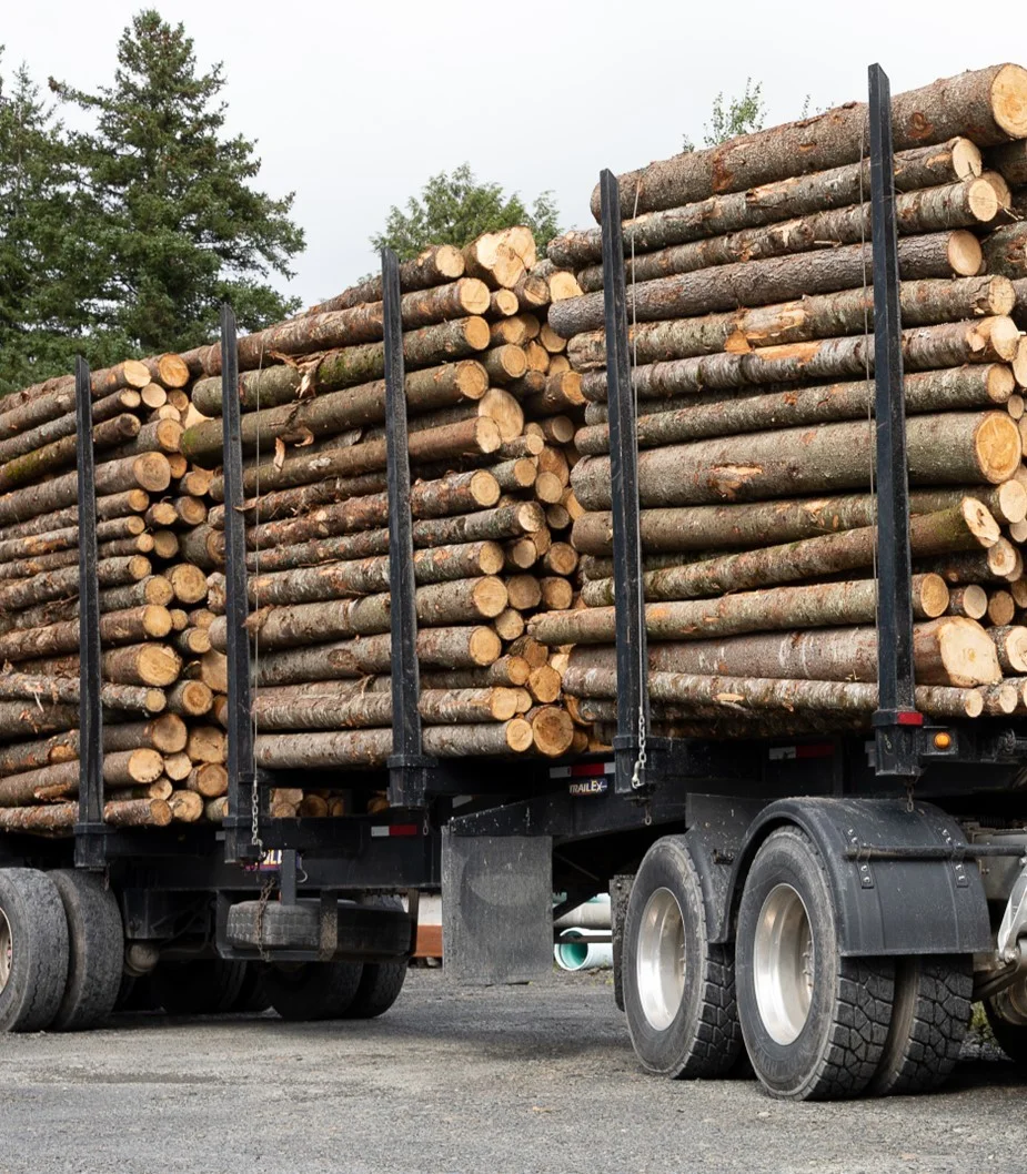 grume-camion-de-25-steres Kastanienstämme, 50-Stère-LKW-Ladung – Bild 1